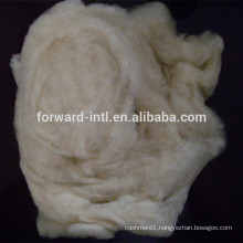 high quality dehaired Mongolian raw cashmere wool